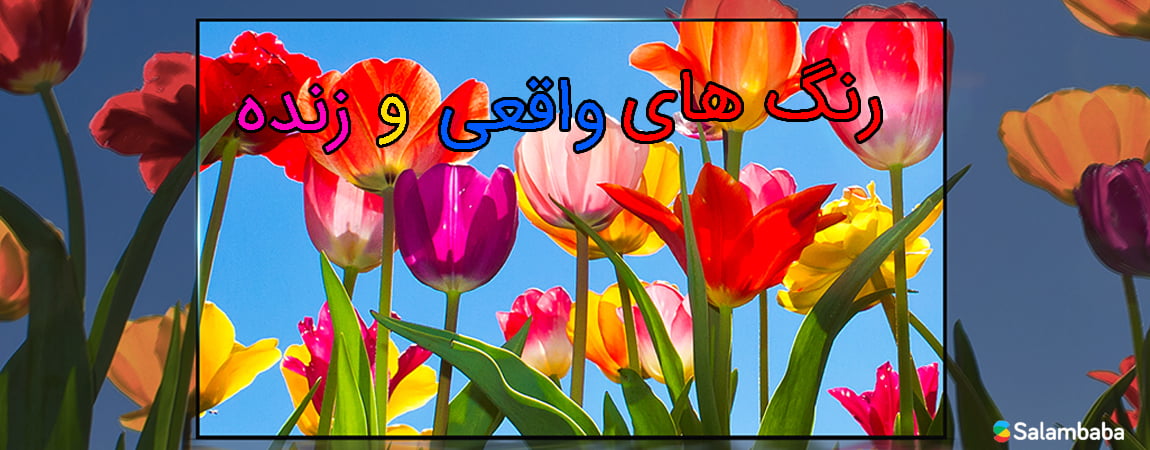 فناوری True Color Accuracy در تلویزیون ال جی UJ634V